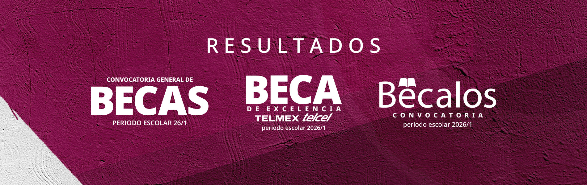 resultados becas
